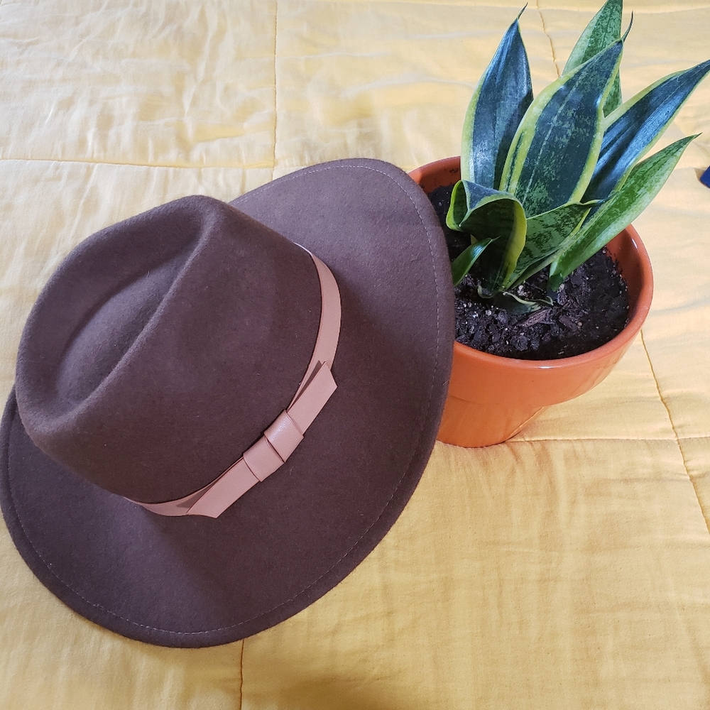 Brown Rancher Hat